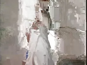 أصلع الأمريكية لاتين ...