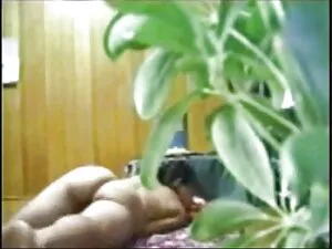 الرجل الأصلع ترانزيس ...